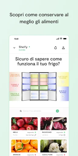 Vitesy Hub screenshot