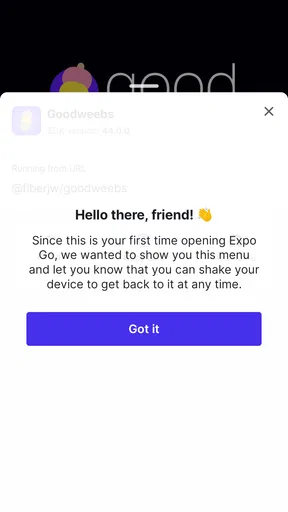 Expo Go screenshot