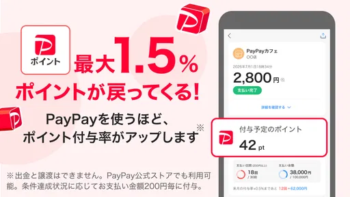 PayPay screenshot
