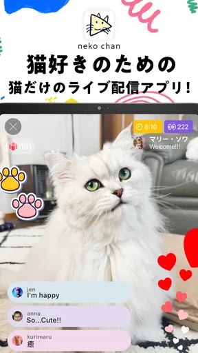 nekochan - 猫だけのライブ配信で癒されよう！ screenshot