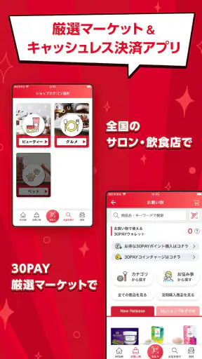 30PAY screenshot