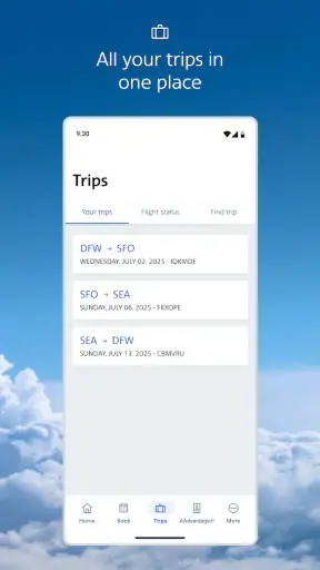 American Airlines screenshot