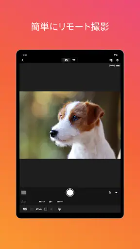Canon Camera Connect screenshot