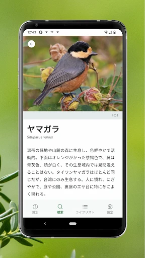 Cornell LabによるMerlin Bird ID screenshot