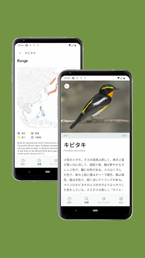 Cornell LabによるMerlin Bird ID screenshot