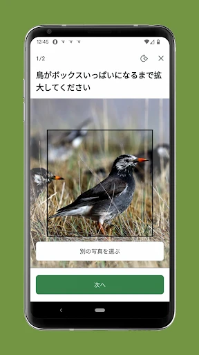 Cornell LabによるMerlin Bird ID screenshot