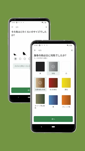 Cornell LabによるMerlin Bird ID screenshot