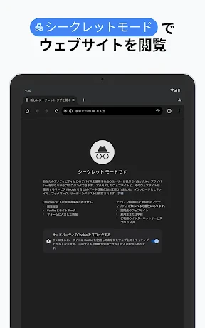 Google Chrome screenshot