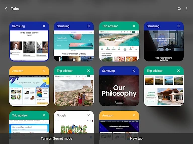 Internet Browser screenshot