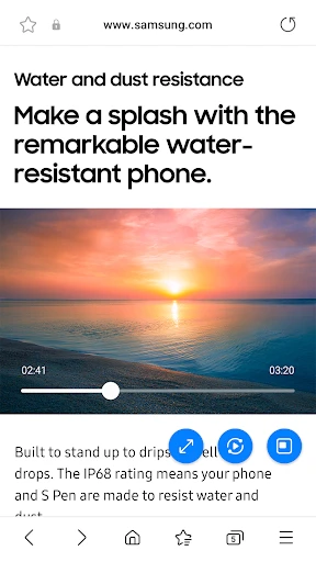 Internet Browser screenshot