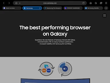 Internet Browser screenshot
