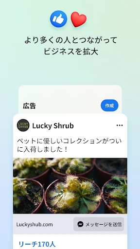 Meta Business Suite screenshot