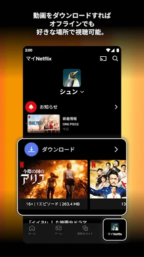 Netflix screenshot