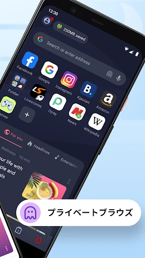 Opera Mini Web ブラウザ screenshot