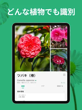 PictureThis:撮ったら、判る-1秒植物図鑑 screenshot