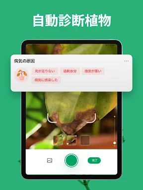 PictureThis:撮ったら、判る-1秒植物図鑑 screenshot