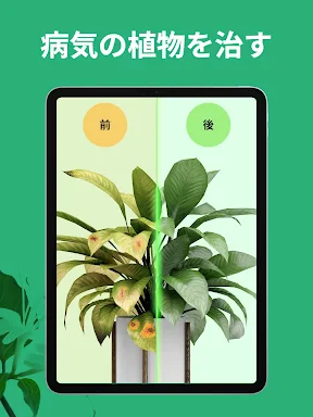 PictureThis:撮ったら、判る-1秒植物図鑑 screenshot