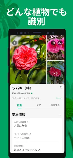 PictureThis:撮ったら、判る-1秒植物図鑑 screenshot