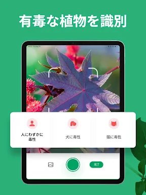 PictureThis:撮ったら、判る-1秒植物図鑑 screenshot