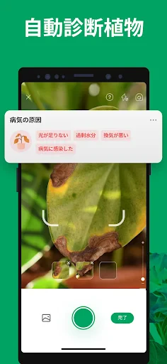 PictureThis:撮ったら、判る-1秒植物図鑑 screenshot