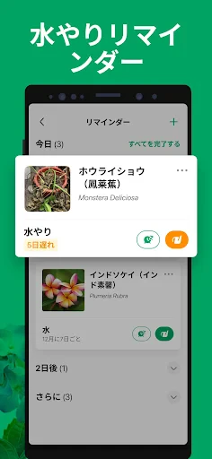 PictureThis:撮ったら、判る-1秒植物図鑑 screenshot