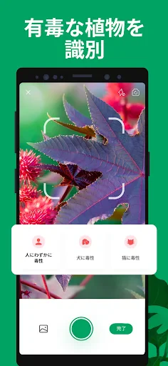 PictureThis:撮ったら、判る-1秒植物図鑑 screenshot