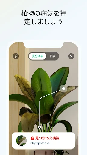 Plant App - 植物識別子 screenshot