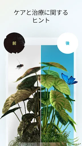 Plant App - 植物識別子 screenshot