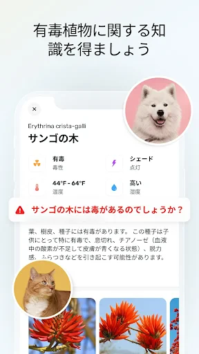 Plant App - 植物識別子 screenshot