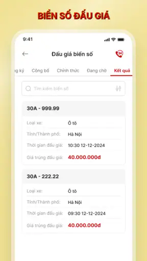 VNeTraffic screenshot