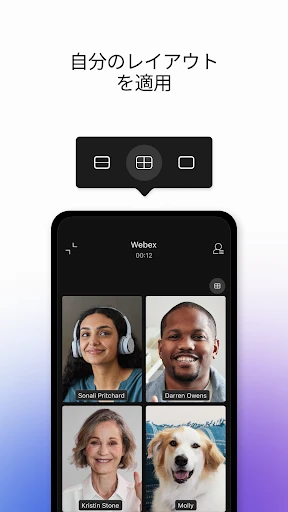 Webex screenshot