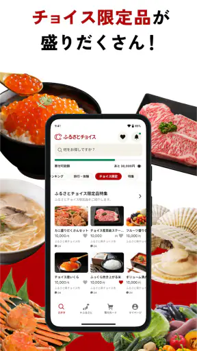 ふるさと納税ならふるさとチョイス screenshot