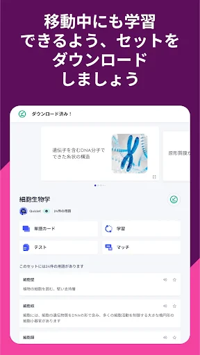 単語帳メーカーで英語勉強 Quizlet クイズレット screenshot