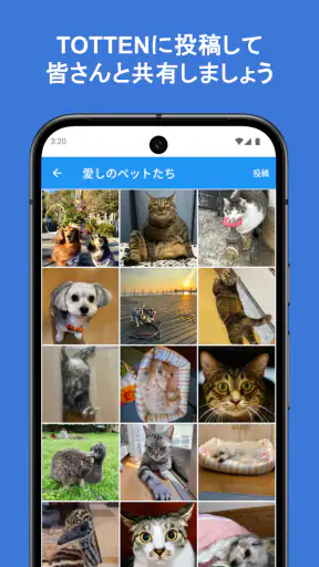 大分合同新聞 Gate screenshot