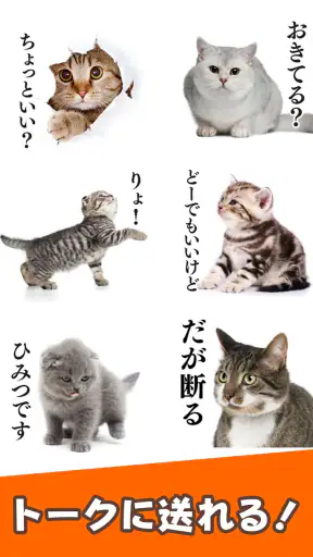 猫スタンプ（実写スタンプ） screenshot