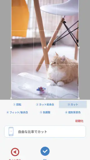 複数画像壁紙 - 写真のライブ壁紙 screenshot