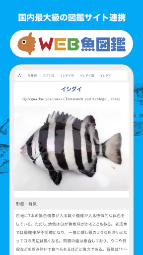 魚みっけ screenshot