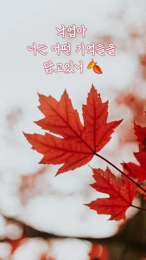 감성공장 - 봄 캘리&글씨 감성 카드 만들기 screenshot