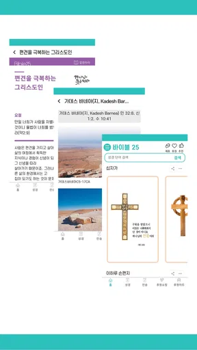 바이블25 성경 찬송 - 성경사전, 다번역 개역개정 screenshot