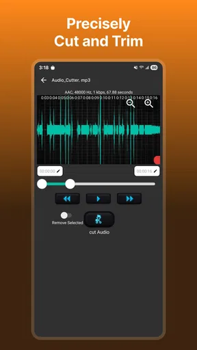 Audio Video Noise Reducer screenshot