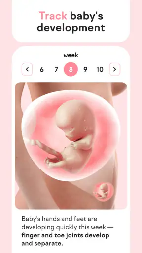 amma 임신 추적자: 임신 기간 중 기대할 수 있는 screenshot