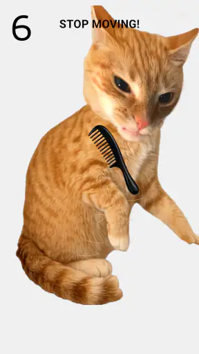Brush The Cat screenshot