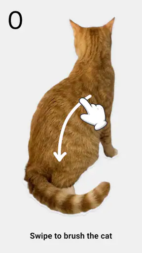 Brush The Cat screenshot