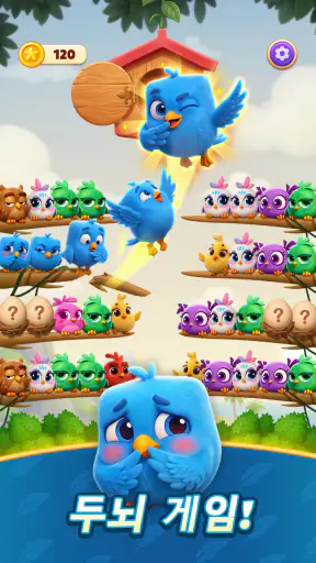 Chirpy Sort: Bird Color Puzzle screenshot