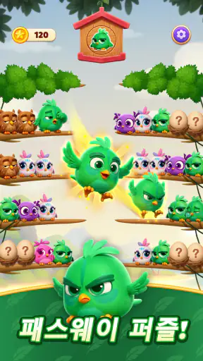 Chirpy Sort: Bird Color Puzzle screenshot