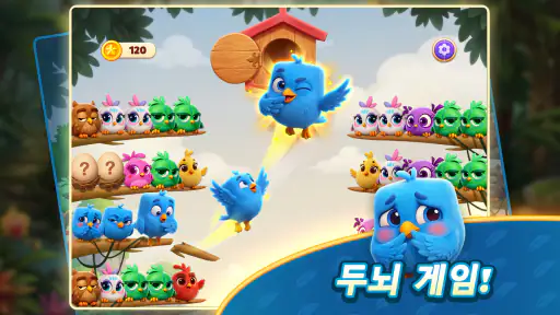 Chirpy Sort: Bird Color Puzzle screenshot