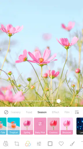 LINE Camera - 사진 편집, 애니메이션 스티커 screenshot