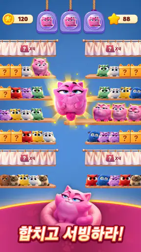 Meow Sort-Color Puzzle Master screenshot