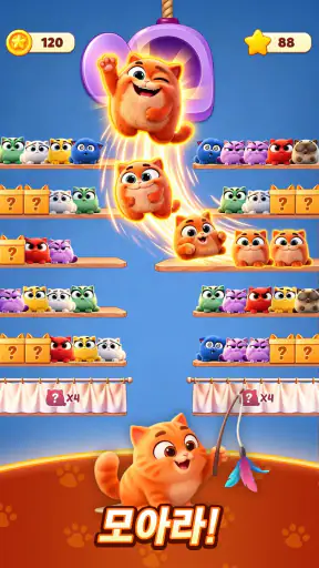 Meow Sort-Color Puzzle Master screenshot