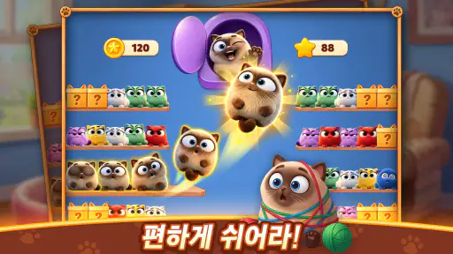 Meow Sort-Color Puzzle Master screenshot